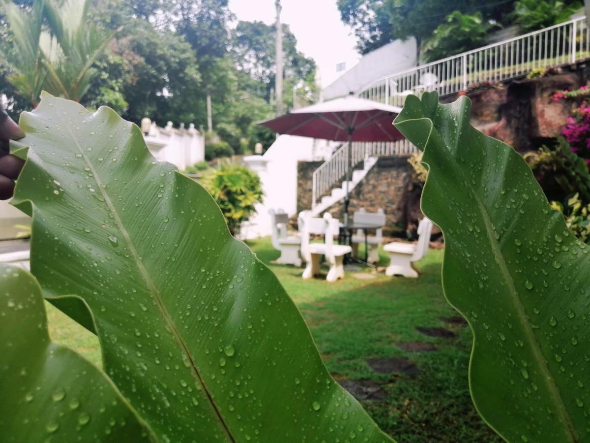 Anna Shanthi Villa Kandy Exterior foto